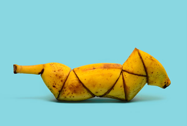 Photograph Juan De Villalba Banana Dog on One Eyeland